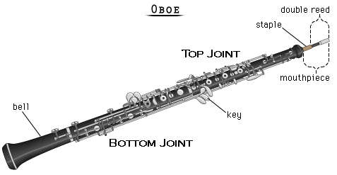 oboe