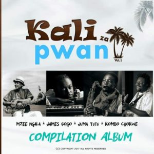 Read more about the article Kali za Pwani: Coastal music with flair.