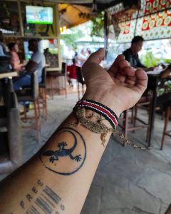 Read more about the article Geco Café: Slithering with good vibes in Nairobi